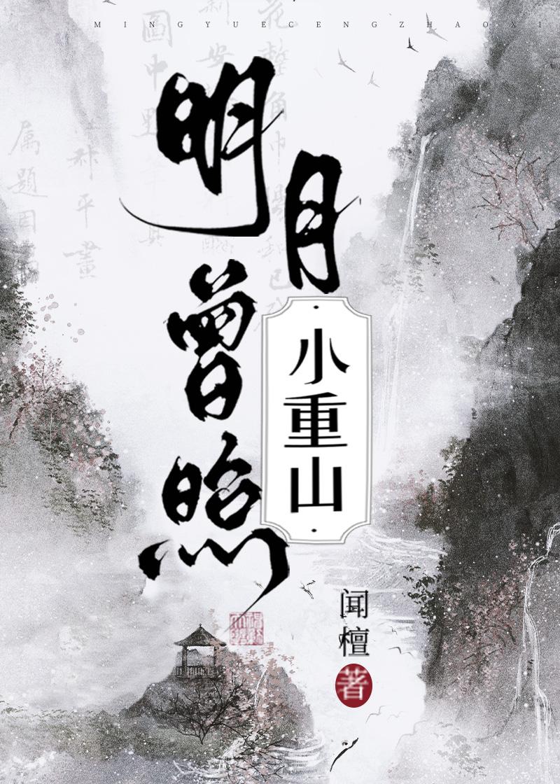 明月曾照小重山讲的什么故事