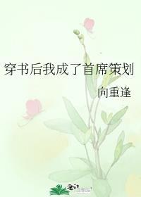 穿书后我成了首席策划晋江