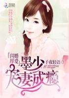 闪婚厚爱墨少宠妻成瘾萌宝小剧场
