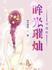 眸光映你无防盗无错误全文阅读