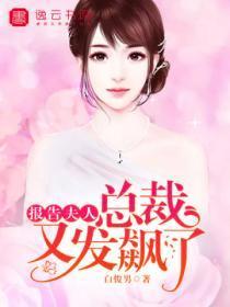 报告夫人总裁有喜了畅读