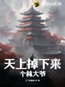 天上掉下来个林妹妹啥意思