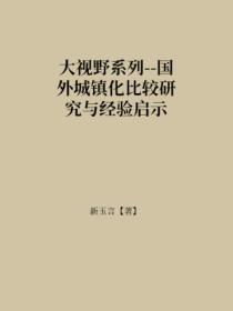 国外城市化