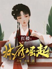 红楼林府崛起.txt
