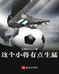 这个将军有点抠