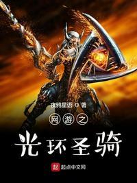 网游之光暗骑士