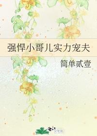 强悍小哥儿实力宠夫简单全文在线阅读