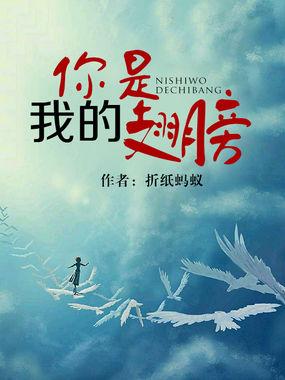 你是我的翅膀疯子三三