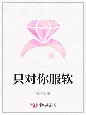 只对你服软小壳