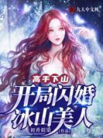 我的闪婚老婆是医神