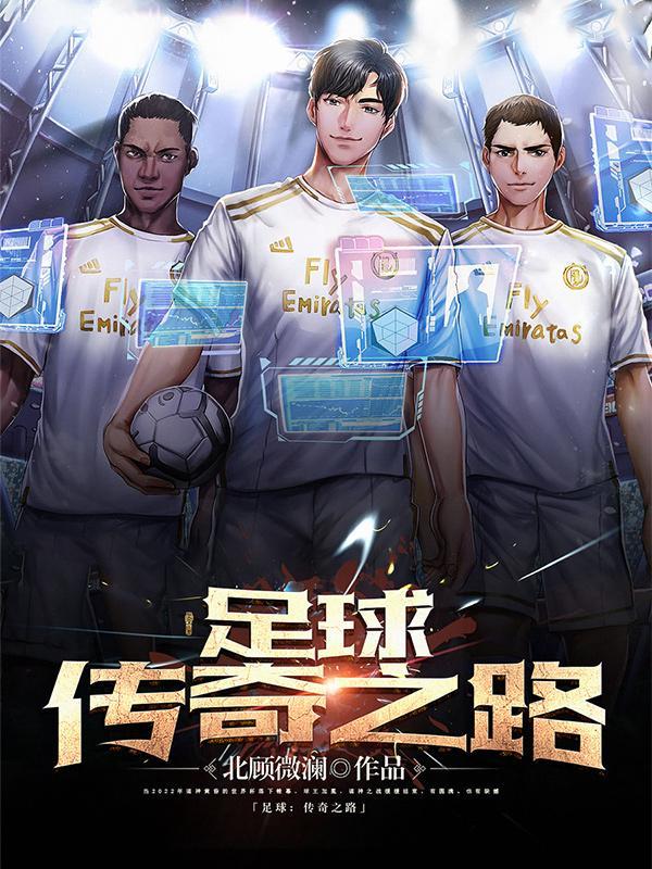 足球传奇之路txt