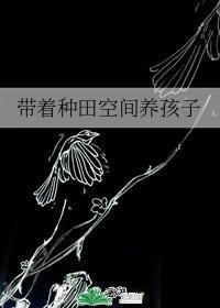 带空间种田养娃