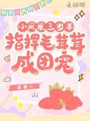小凤凰动画片