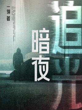 暗夜追光免费播放