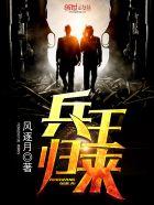 兵王归来夜风武