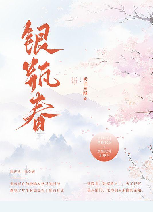银瓶春txt笔趣阁