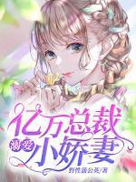 女主夏一涵男主叶子墨