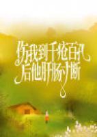 叶晚陆宴安